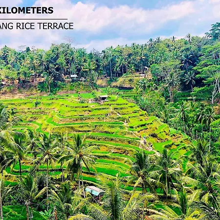Green Flow Villas Ubud III Exterior photo