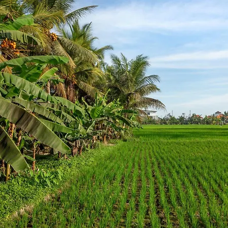Green Flow Villas Ubud III Exterior photo