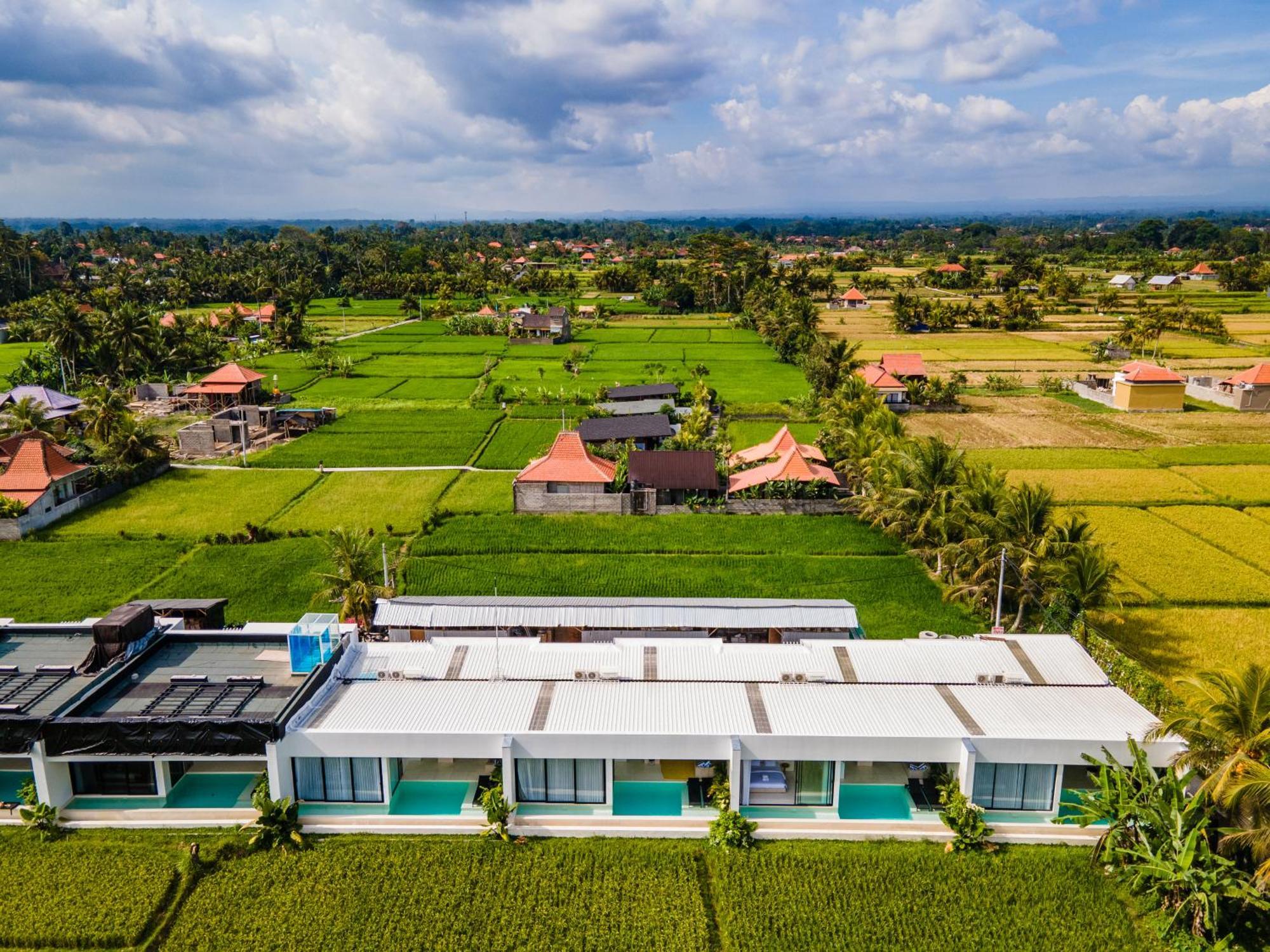 Villa Flow Iii